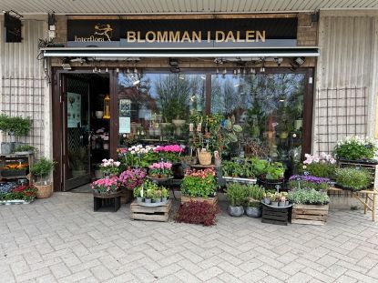 Bild på Ahlafors Blomsterhandel